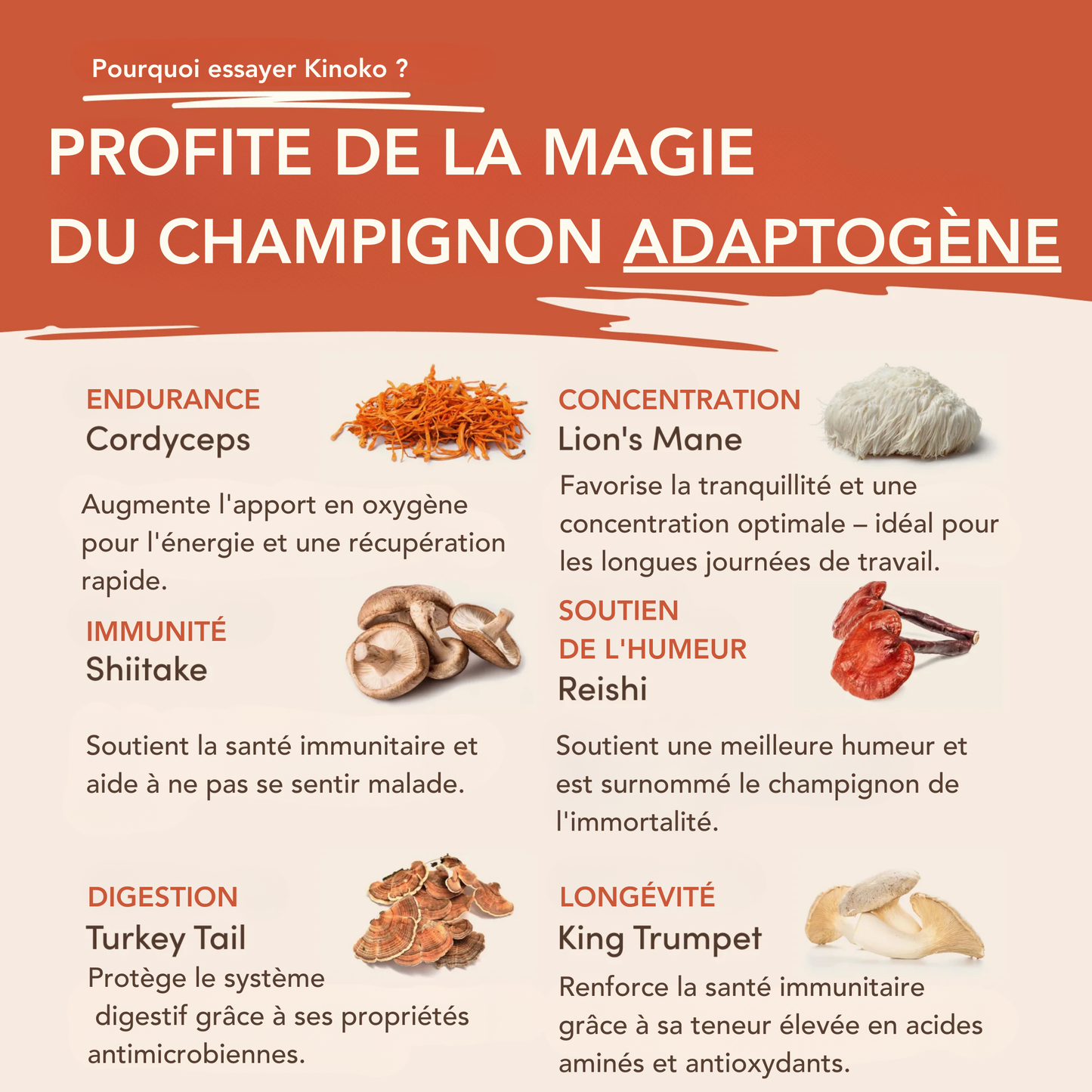 Kinoko Café aux Champignons