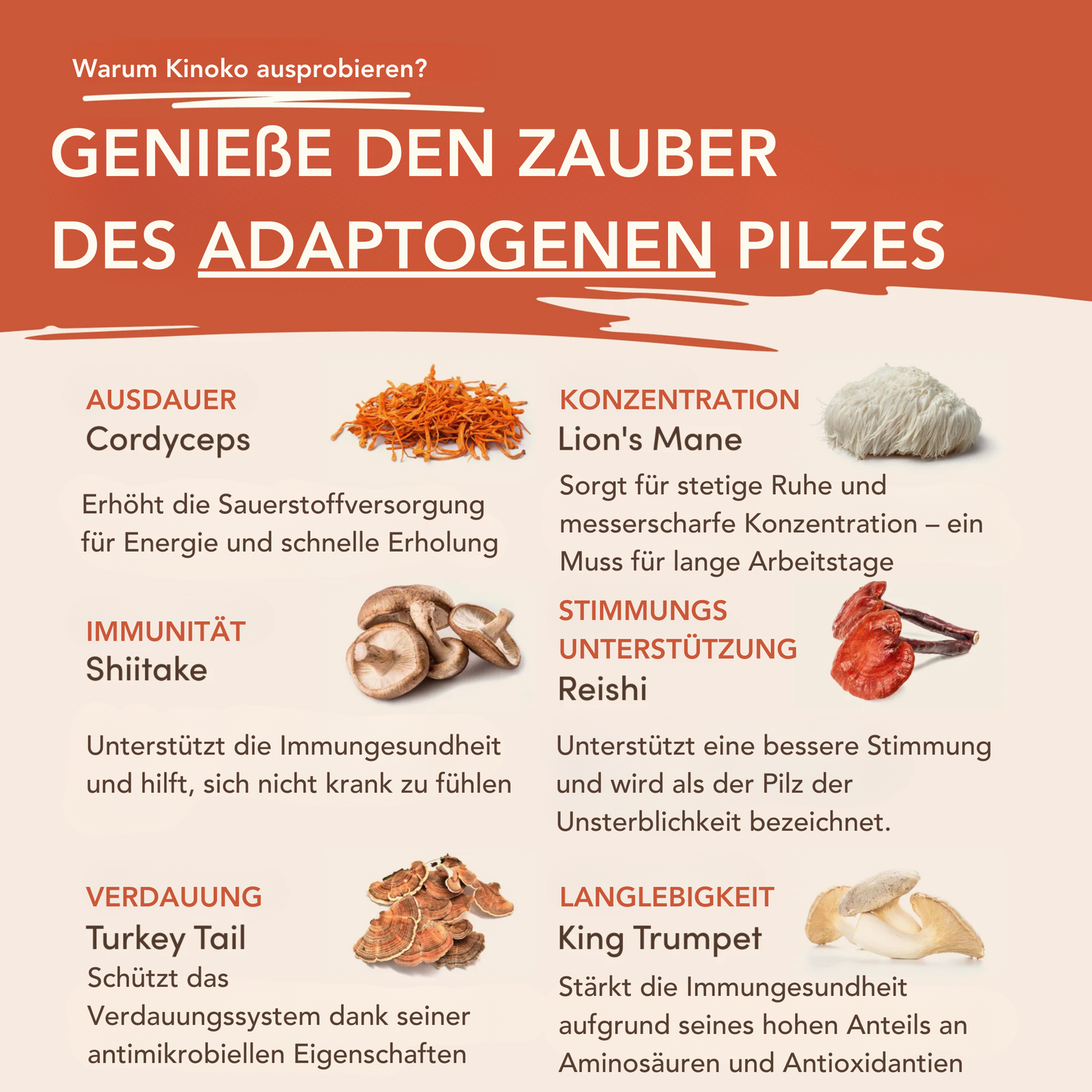 Pilzkaffee TEST
