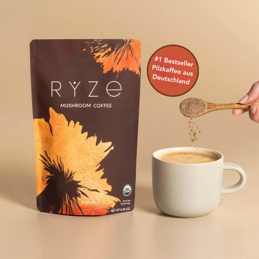 Kinoko Café - aux Champignons