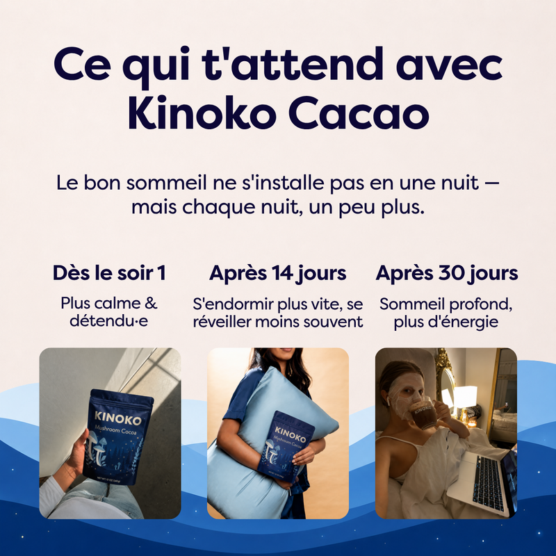 Cacao aux Champignons