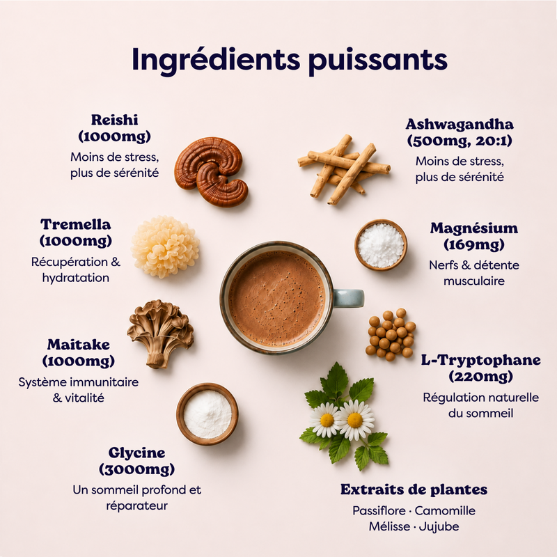 Cacao aux Champignons