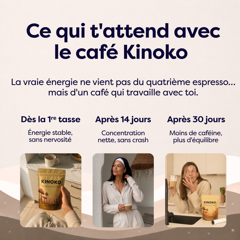Café aux Champignons